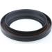 Wellendichtring, Kurbelwelle 15015976B Wellendichtring, Kurbelwelle 15015976B