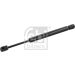 FEBI BILSTEIN 25085 Gasfeder, Koffer-/Laderaum