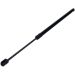 Gasfeder, Koffer-/Laderaum 12-2482
