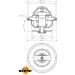 Thermostat, Kühlmittel 725188 Thermostat, Kühlmittel 725188