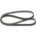 BOSCH Keilrippenriemen 1 987 946 280