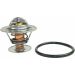 Metzger Thermostat, Kühlmittel 4006284