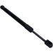 Gasfeder, Koffer-/Laderaum 12-2419