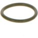 BOSCH Dichtring F 00V C38 041