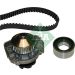 INA Wasserpumpe + Zahnriemensatz 530 0009 30