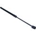 Gasfeder, Koffer-/Laderaum 12-0301 Gasfeder, Koffer-/Laderaum 12-0301