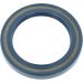 Dichtring 12001698B Dichtring 12001698B