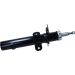 Maxgear Stoßdämpfer 11-1013