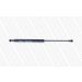 Gasfeder, Koffer-/Laderaum ML5694
