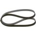 BOSCH Keilrippenriemen 1 987 948 435