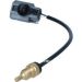 NRF Sensor, Kühlmitteltemperatur 727036