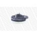 Monroe Federbeinstützlager MOUNTING KIT MK313R
