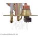 Blue Print Kraftstoffpumpe ADG06807