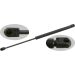 FEBI BILSTEIN 02640 Gasfeder, Motorhaube