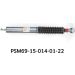 Fahrwerkssatz, Federn/Dämpfer PSM69-15-014-01-22 Fahrwerkssatz, Federn/Dämpfer PSM69-15-014-01-22