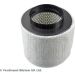 Blue Print Luftfilter ADV182214
