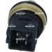 Sensor, Kühlmitteltemperatur 727107 Sensor, Kühlmitteltemperatur 727107