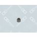 OE Germany Dichtring, Ventilschaft 01 3006 300000 OE Germany Dichtring, Ventilschaft 01 3006 300000