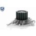 Vaico Wasserpumpe Expert Kits + V95-50008
