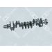 OE Germany Kurbelwelle 09 0300 ISB600 OE Germany Kurbelwelle 09 0300 ISB600