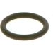 BOSCH Dichtring F 00R J01 605
