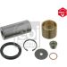 FEBI BILSTEIN 05869 Reparatursatz, Achsschenkelbolzen
