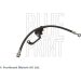 Blue Print Bremsschlauch ADG053153