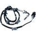 Sensor, Abgastemperatur 707306