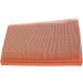 BOSCH F 026 400 110 Luftfilter