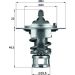 Mahle Thermostat, Kühlmittel BEHR TX 65 82