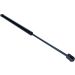 Gasfeder, Koffer-/Laderaum 12-0101