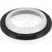 Dichtring 169.650 Dichtring 169.650