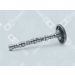 OE Germany Nockenwelle 01 0500 422001 OE Germany Nockenwelle 01 0500 422001