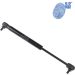 Blue Print Gasfeder, Motorhaube ADA105822