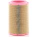 MANN-FILTER C 36 011/2 Sekundärluftfilter