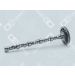 OE Germany Nockenwelle 01 0500 423000 OE Germany Nockenwelle 01 0500 423000