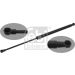 FEBI BILSTEIN 47078 Gasfeder, Koffer-/Laderaum
