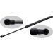 FEBI BILSTEIN 36219 Gasfeder, Koffer-/Laderaum
