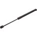 FEBI BILSTEIN 37479 Gasfeder, Koffer-/Laderaum