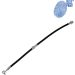 Blue Print Bremsschlauch ADN153221