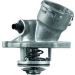 Mahle Thermostat, Kühlmittel BEHR TM 45 100D