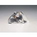 Magneti Marelli Blinkleuchte 710311328004
