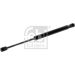FEBI BILSTEIN 175325 Gasfeder, Motorhaube