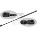 FEBI BILSTEIN 31084 Gasfeder, Koffer-/Laderaum