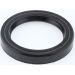 Dichtring 12000755B