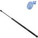 Blue Print Gasfeder, Koffer-/Laderaum ADT35804