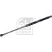 FEBI BILSTEIN 33346 Gasfeder, Koffer-/Laderaum