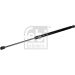 FEBI BILSTEIN 177401 Gasfeder, Koffer-/Laderaum