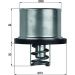 Mahle Thermostat, Kühlmittel BEHR TX 37 79