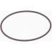BOSCH Dichtring F 01M 100 371